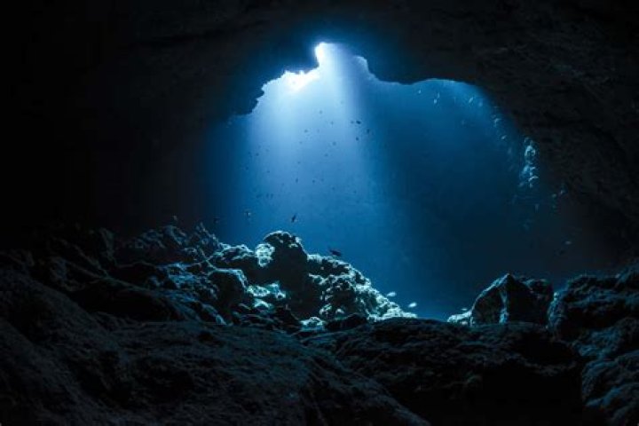 Exploring The Depths Of Art And Emotion