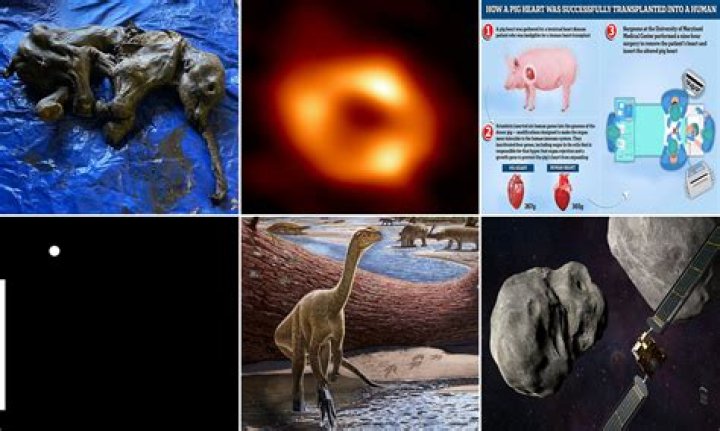 Is Daphne Oz Expecting? Discoveries And Insights Revealed