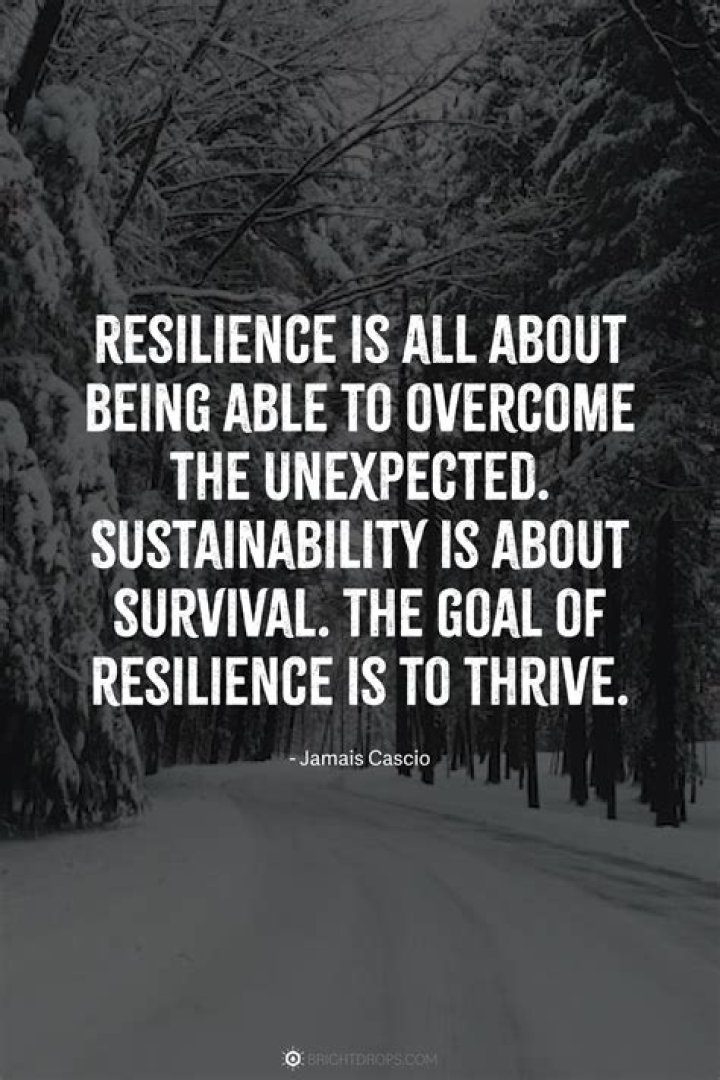 Uncovering Love, Growth, And Resilience