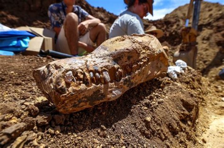 Uncovering The Role Of Dr. Now's Wife: Discoveries And Insights